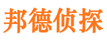 梅里斯市私家侦探